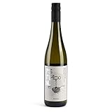 7STEIN Riesling Hochgewächs – ein Qualitätswein, Weißwein aus Rheinhessen, Deutschland (1 x 0.75 l)